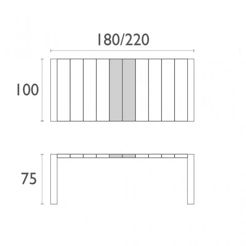 vegas medium.webp