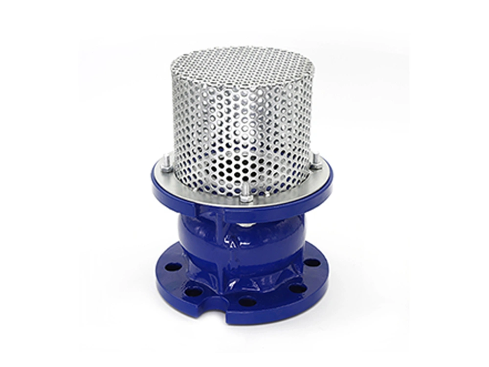 FOOTVALVE FLANGED CAST IRON DN100
