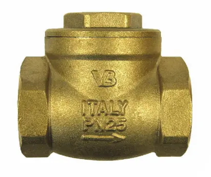 [440/07] NON-RETURN VALVE BRONZE 2.1/2'' V