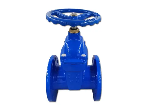 [111-80] GATEVALVE FLANGED CAST IRON DN80 Z
